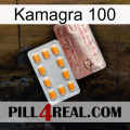 Kamagra 100 new13